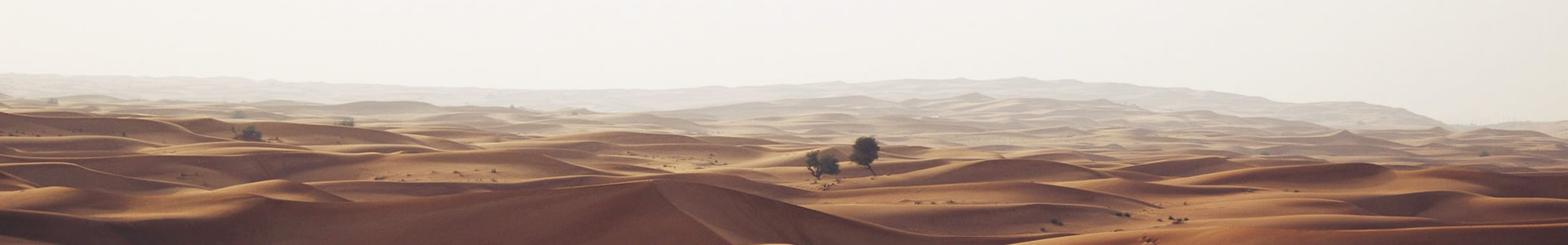ܰ޹˾